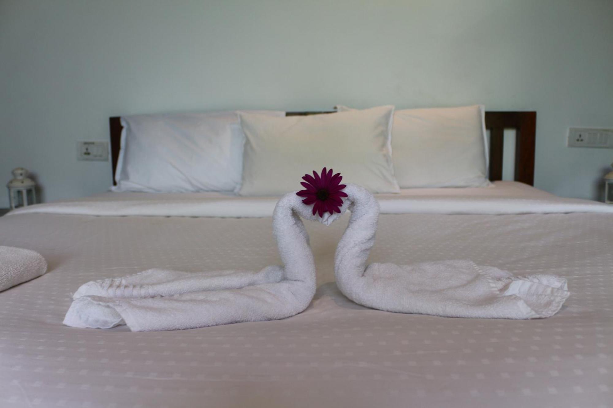 Logan Camp Ooty Hotell Coonoor Eksteriør bilde