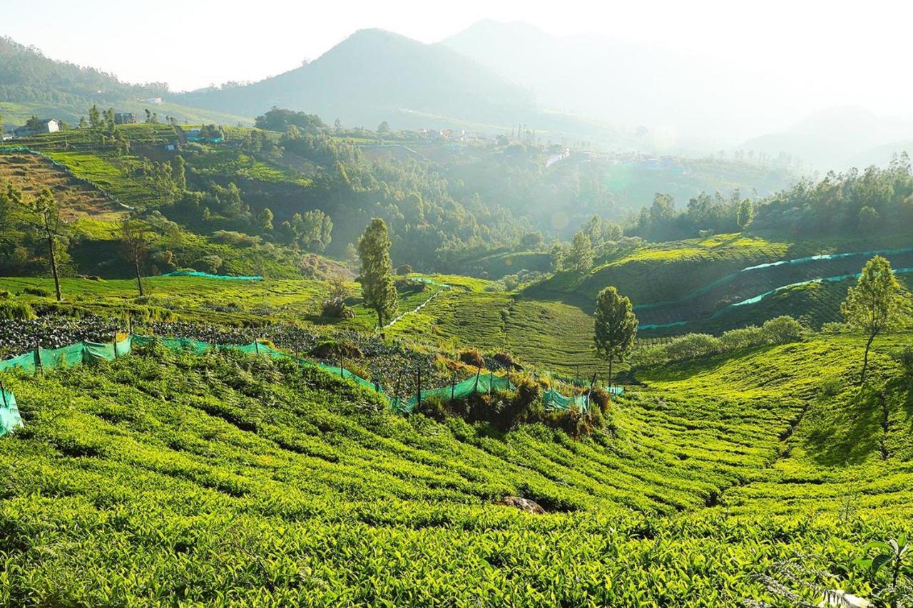 Logan Camp Ooty Hotell Coonoor Eksteriør bilde